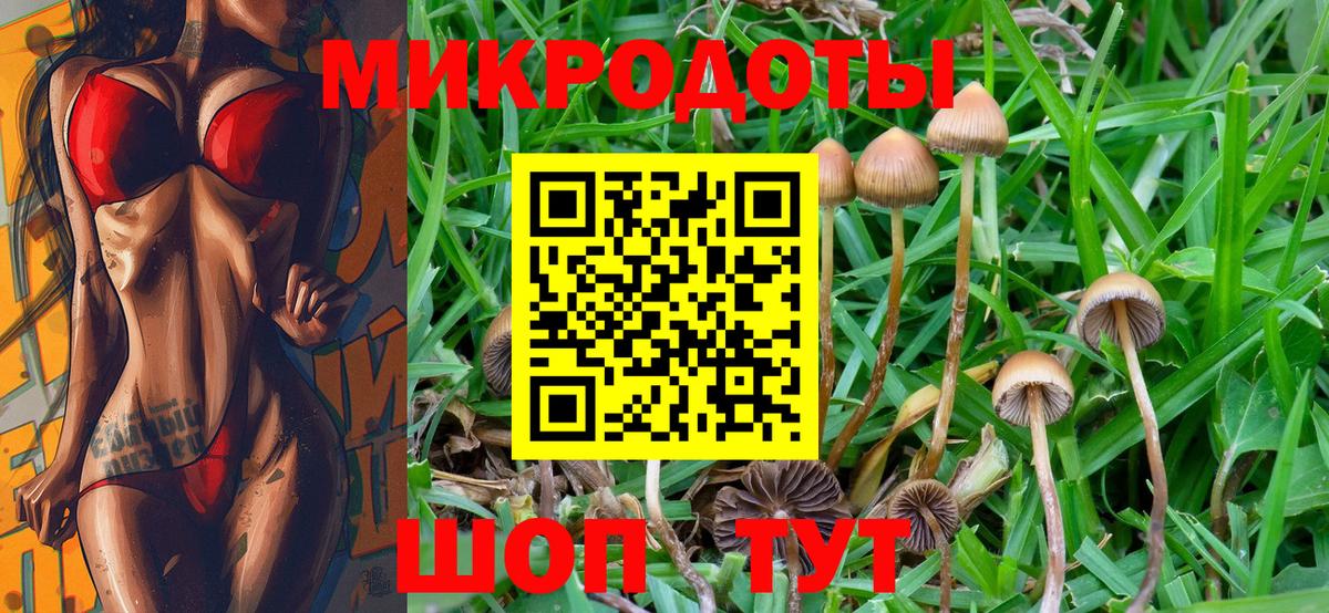Галлюциногенные грибы Psilocybe  цены наркотик  Губкин  Вход с VPN  Псилоцибиновые грибы мицелий 
