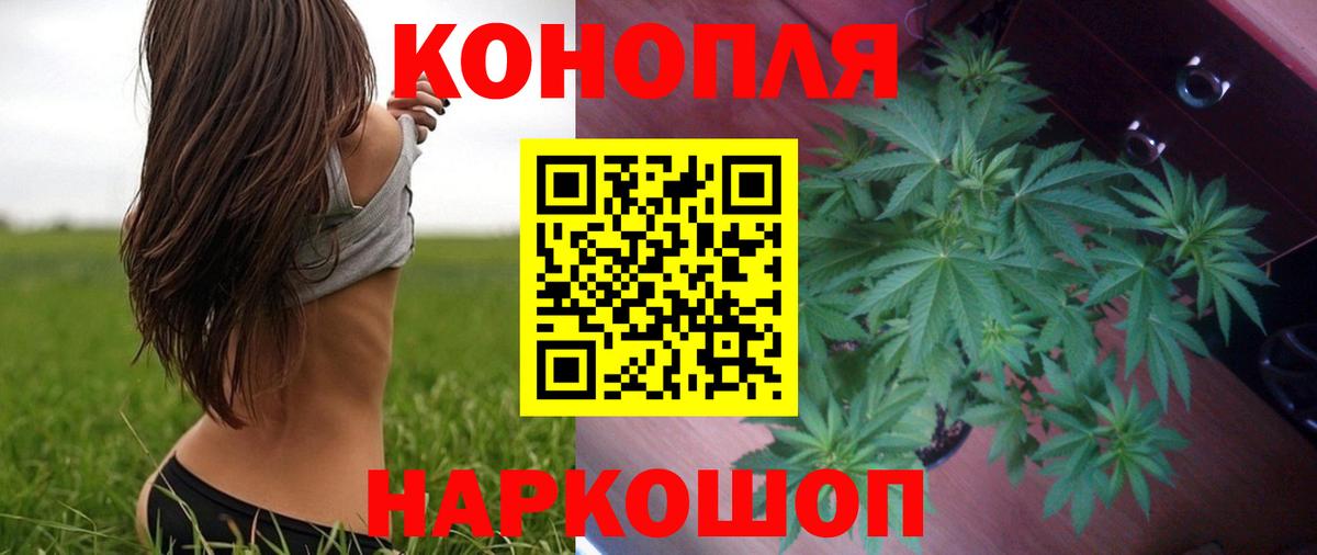 Бошки Шишки Ganja  Бошки Шишки SATIVA & INDICA  Губкин  Вход с VPN 